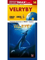 Velryby DVD