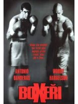 Boxeři DVD