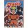 Naruto 4 DVD