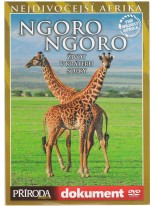 Ngoro Ngoro DVD