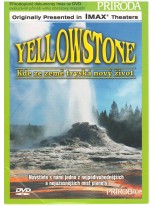 Yellowstone DVD