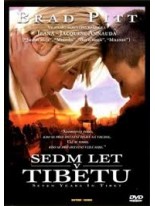 Sedm let v Tibetu DVD