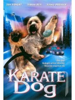 Karate Dog DVD /Bazár/