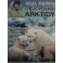 Nigel Marven Objevování Antarktídy 1 DVD