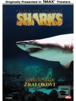 Pátrání po velkém žralokovi DVD