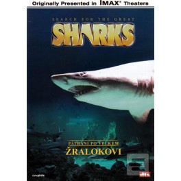 Pátrání po velkém žralokovi DVD Pátrání po velkém žralokovi DVD