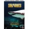 Pátrání po velkém žralokovi DVD
