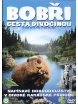 Bobři Cesta divočinou DVD