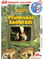 Pruhovan&iacute; kamar&aacute;di DVD