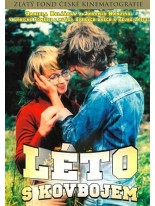 Léto s kovbojem DVD