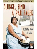 Slunce seno a pár facek DVD