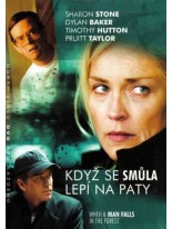 Když se smůla lep&iacute; na paty DVD