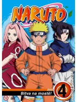 Naruto 4 DVD