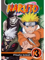 Naruto 3 DVD
