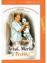Artuš, Merlin a prchlíci DVD