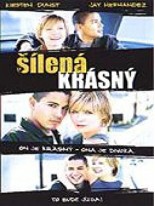 Šílená / Krásny DVD