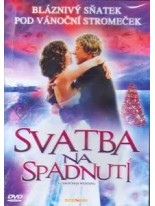 Svatba na spadnut&iacute; DVD /Baz&aacute;r/