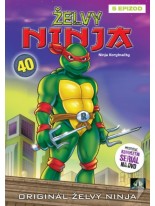 Želvy ninja 40 DVD /Bazár/