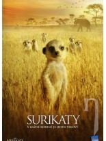 Surikaty DVD