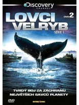 Lovci velryb 2 - DVD