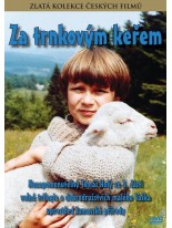 Za trnkovým keřem DVD