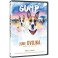 Gump - jsme dvojka DVD