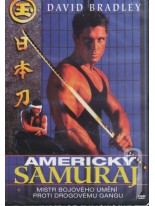 Americk&yacute; samuraj DVD