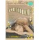 Pornodrome DVD