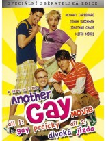 Another Gay Movie 1+2 DVD