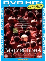 Mal&yacute; budha DVD