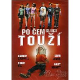Po čem kluci touž&iacute; DVD