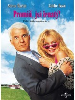 Promiň jsi ženat&yacute;? DVD