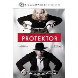 Protektor DVD