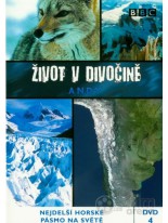 Život v divočine 4 Andy DVD