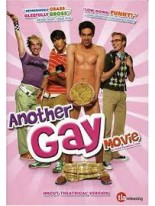 Another Gay Movie DVD