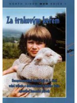 Za trnkovým keřem DVD