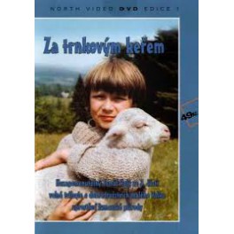 Za trnkovým keřem DVD