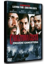 Carlitova cesta Zrození gangstera DVD