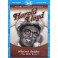 Harold Lloyd DVD